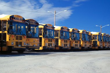 A row of school bus parked in a parking lot clipart