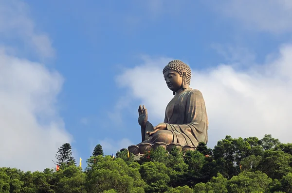 Tian Tan Riesenbuddha Mit Liebevollem Blick Aus China — Stockfoto