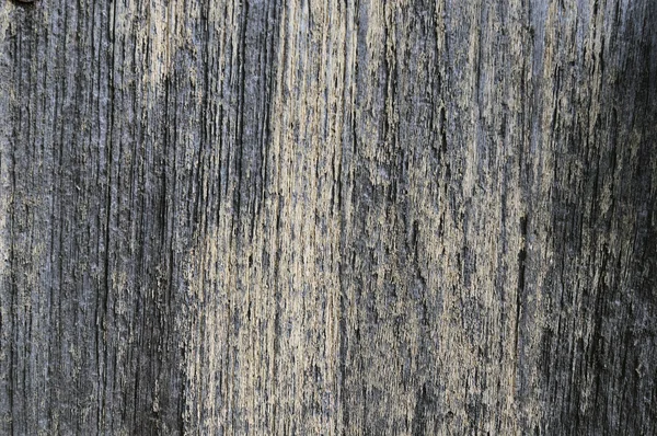 Streszczenie Tekstura Drewniane Tła Bliska — Zdjęcie stockowe