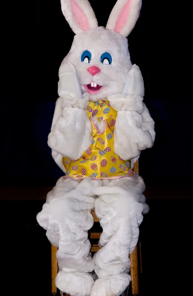 Rabbit Sitting Chair Easter — Stock Photo, Image
