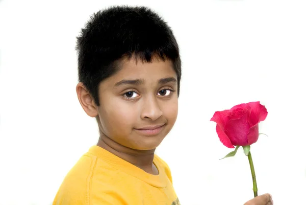 Handsome indian kid holding flower for valentine — Stock Photo, Image