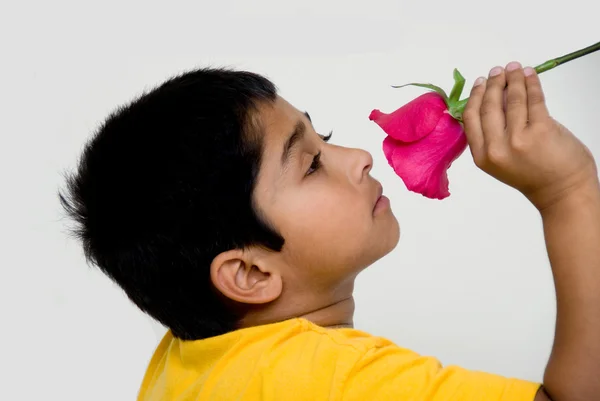 Красива Індійська Дитина Тримає Квітку Валентина — стокове фото