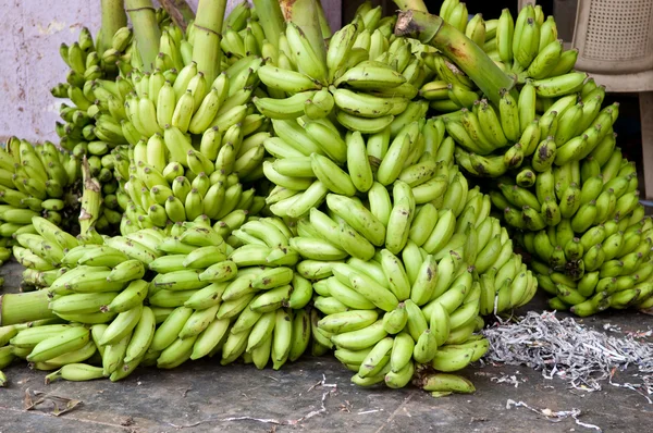 Μικρά Πράσινα Μπανάνα Στο Δέντρο — Φωτογραφία Αρχείου