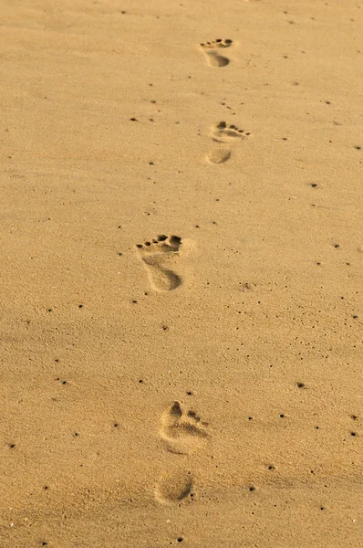 stock image Footsteps