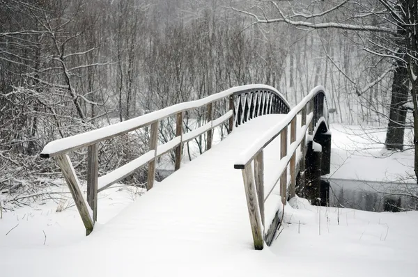 Typical Scene New England Winter Storm — Stock Photo, Image