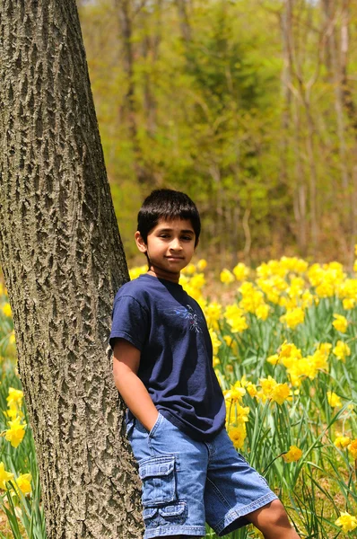 Pěkný Indické Dítě Model Představuje Místním Parku — Stock fotografie