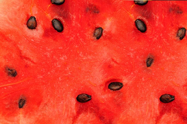 stock image close up picture of Water melon back ground