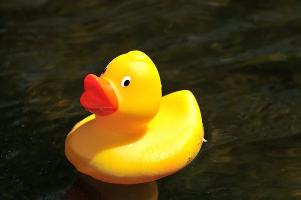 Rubber Duck — Stock Photo, Image
