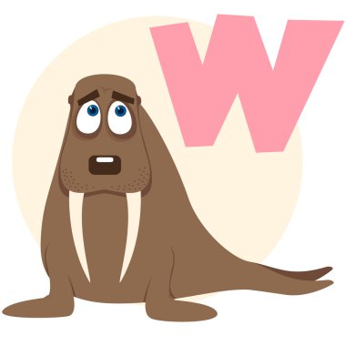 The English alphabet. Walrus clipart