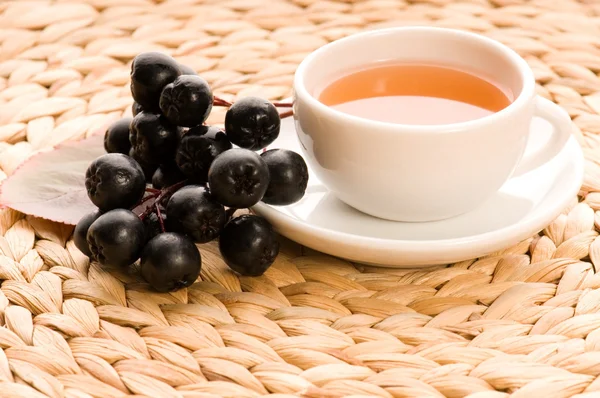 Black chokeberry tea — Stock Photo, Image