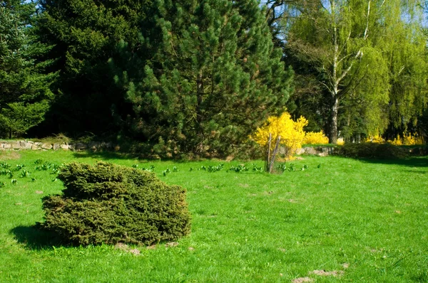 Мирный Сад — стоковое фото