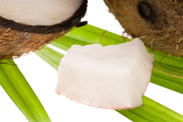 Coconut — Stock Photo, Image