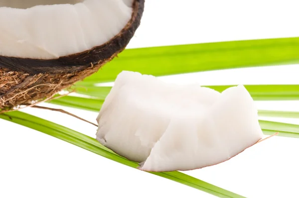 Coconut White Background — Stock Photo, Image