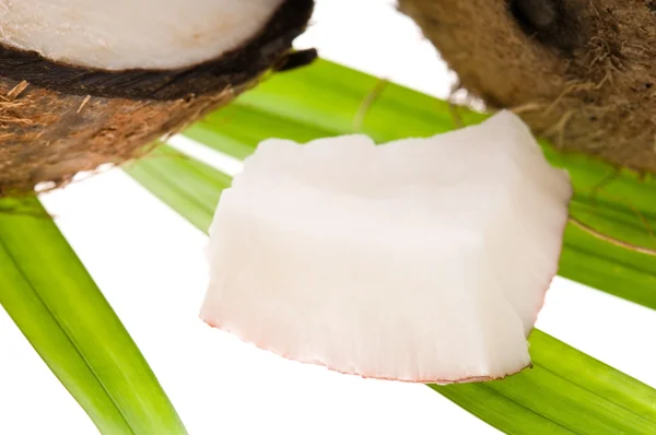 Kokosnoot Een Witte Achtergrond — Stockfoto