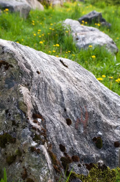 stock image Rock garden