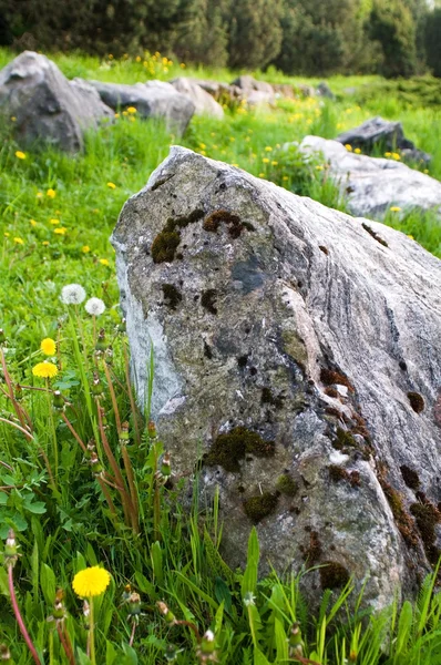 stock image Rock garden