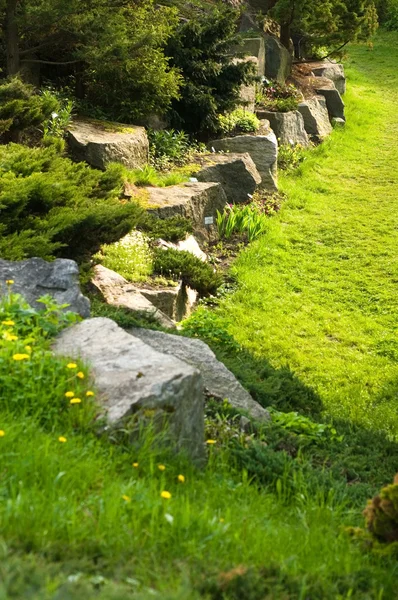 stock image Rock garden