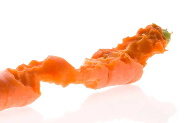 Кусай Свежую Морковку — стоковое фото