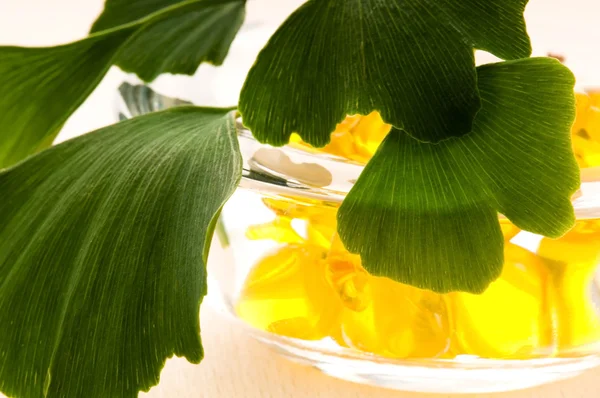 Ginko biloba olejek eteryczny ze świeżymi liśćmi - zabieg kosmetyczny — Zdjęcie stockowe