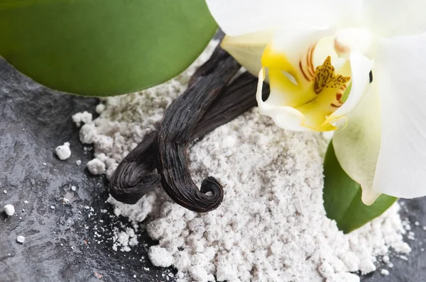 Vanilla Beans Aromatic Sugar Flower — Stock Photo, Image