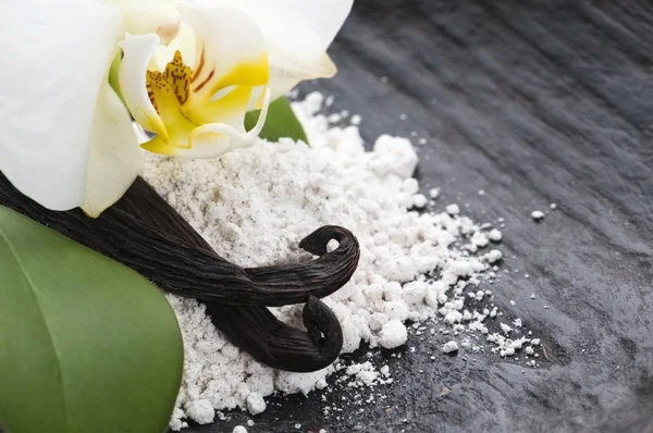 stock image Vanilla beans with aromatic sugar and flower