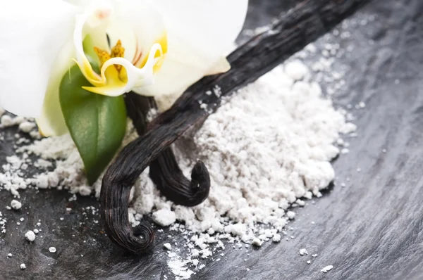 stock image Vanilla beans with aromatic sugar and flower