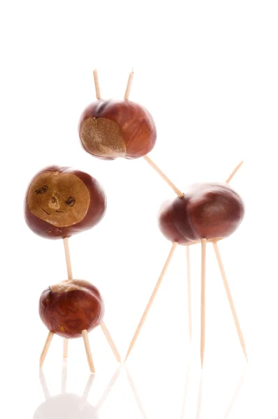 Chestnut Toy — Stock Photo, Image