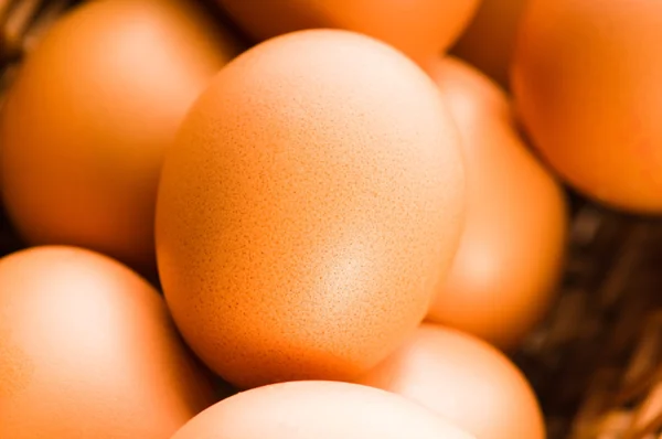 Gaiola castanha fresca ovos livres — Fotografia de Stock