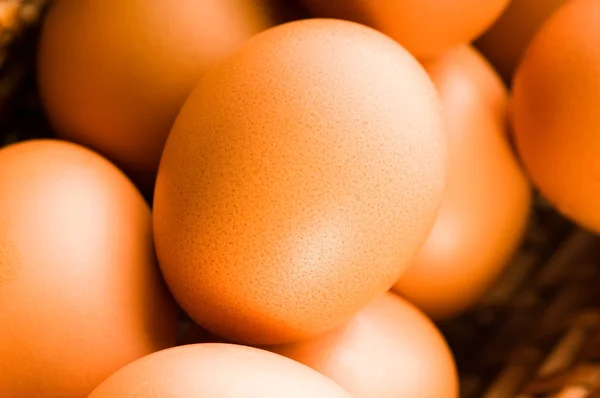 Fresh brown cage free eggs — Stock Photo, Image