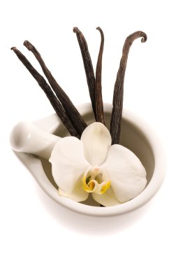 Mortar with vanilla pods and flower clipart