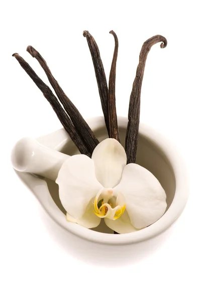 Mortar with vanilla pods and flower — Stock Photo, Image