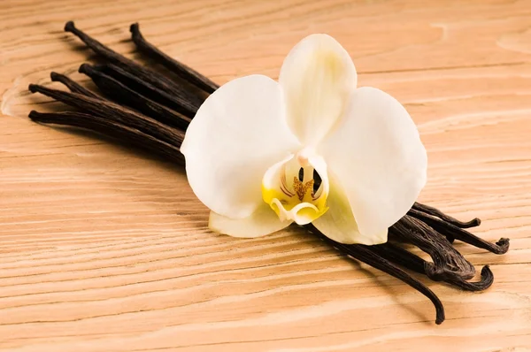 Vanilkové lusky a květina — Stock fotografie