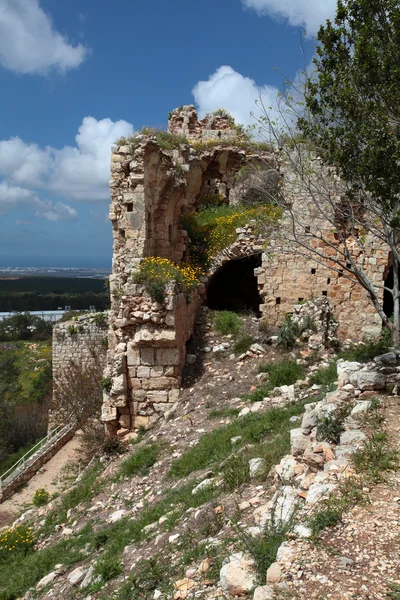 Ιστορικό Φρούριο Του Ισραήλ Yehiam Εικόνα Αρχείου