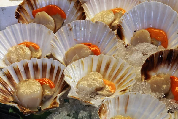 stock image Scallops at the market in venice