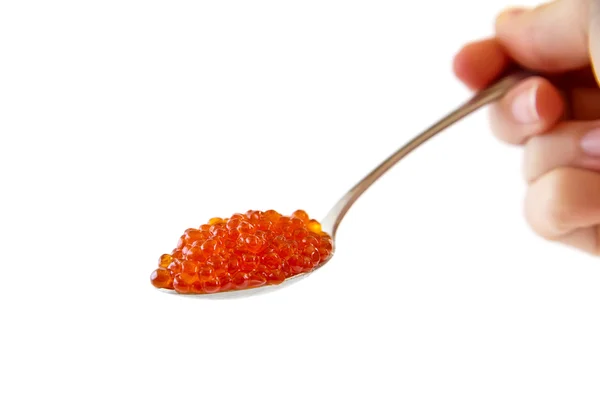 Caviar em uma colher — Fotografia de Stock