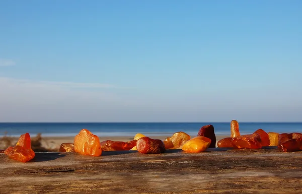 Ámbar en la costa del mar — Foto de Stock