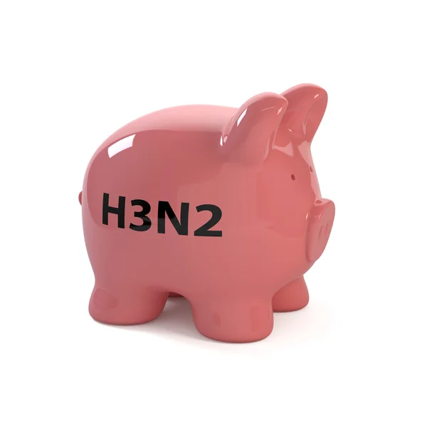 H3n2_fin свинья — стоковое фото