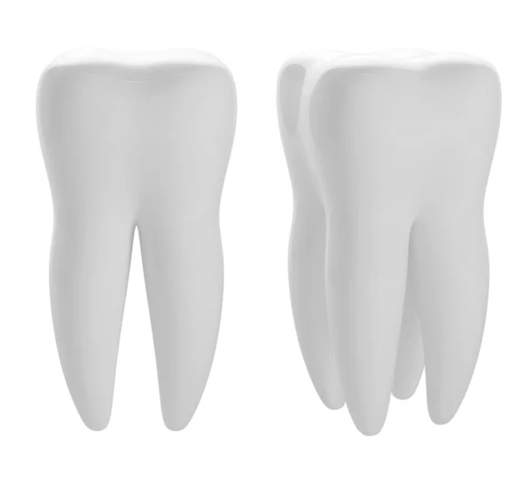 Két Fehér Render Tooths — Stock Fotó