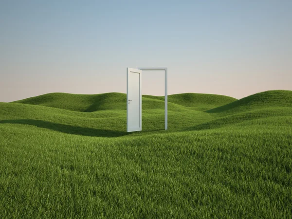 Render Beautiful Grass Field Opened White Door Clipping Path — Stock Photo, Image