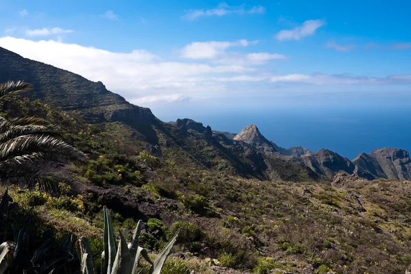 Masca Tenerife Cliffs — Stock Photo, Image