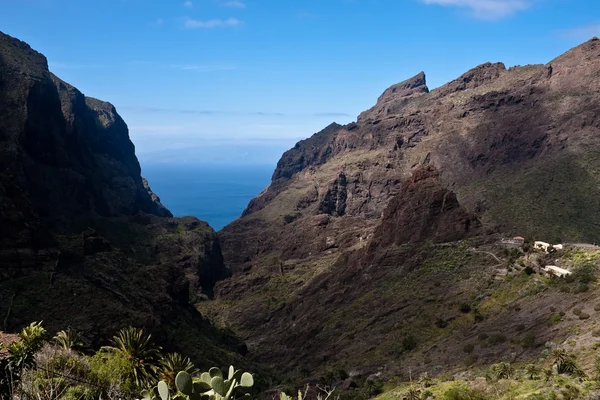 Jurang Masca Tenerife — Stok Foto