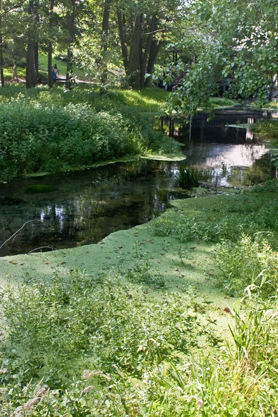 stock image Green River