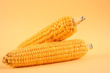 iki sweetcorns