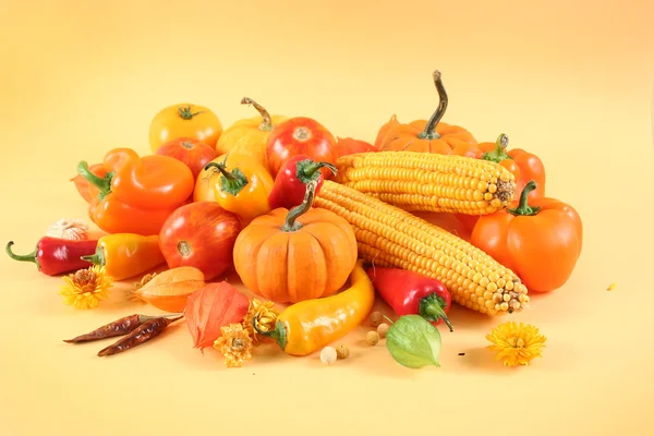 Vegetarian crop — Stock Photo, Image