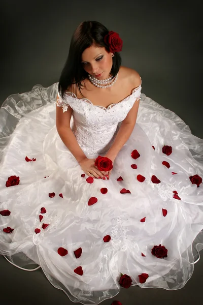 白の花嫁 — ストック写真