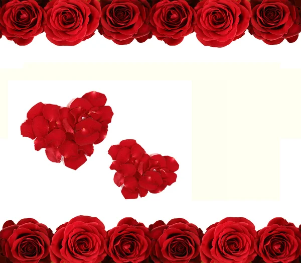 Roses and hearts — Stock Photo, Image