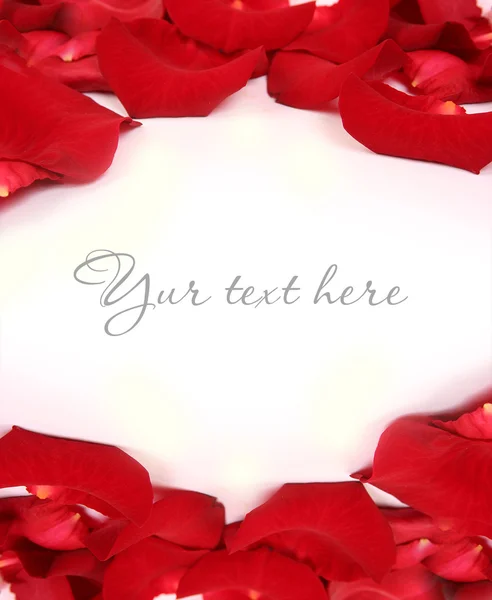 Petals and text — Stock Photo, Image