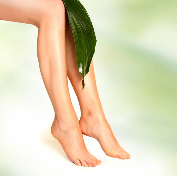 Güzel Beyaz Izole Kadın Bacakları Ince — Stok fotoğraf
