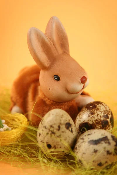 Malý vejce — Stock fotografie