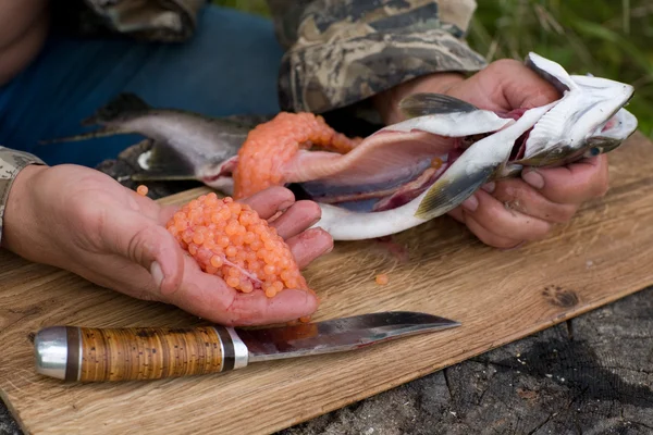 Taglio del salmone fresco — Foto Stock